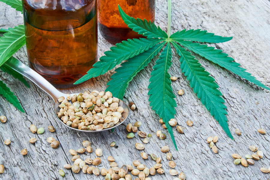 WHAT IS CBD?